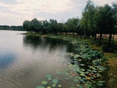-东郊湿地公园
