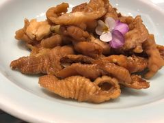 -宝轩渔府·老字号海鲜·正宗津菜(水上店)