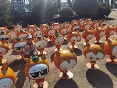 -上海长兴岛郊野公园