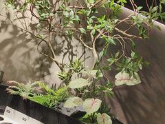 -原牛道·潮汕围炉火锅(讯美店)