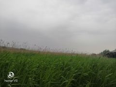 -处女泉风景名胜区