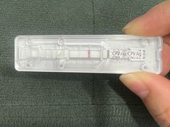 -萌宠之家·腊肠犬·马尔泰·小体犬舍
