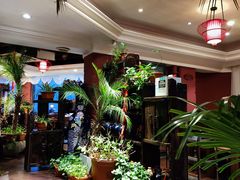 -大匠工房古船木艺术餐厅·猪肚鸡专门店(长白仙岛店)