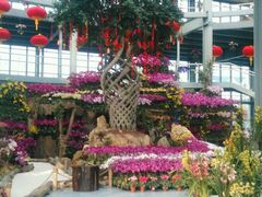 -南通洲际绿博园