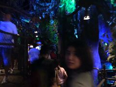 -奥兰多迪士尼动物王国乐园