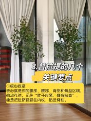 -自在瑜伽·普拉提馆MRBH
