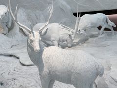 -中国湿地博物馆