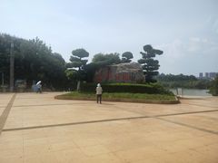 -洛龙公园