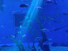 -前王院•巧克力海鲜市集餐厅(万平口店)