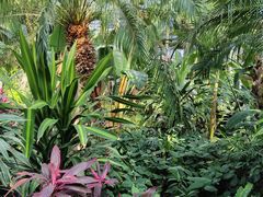 -北京植物园-展览温室