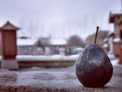 -陆地游轮吉林神农温泉