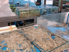 水产区-半岛听涛蒸汽海鲜自助(K11店)