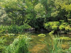 -上海滨江森林公园