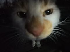 -帽儿山国家森林公园