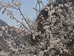 -爱情山风景区