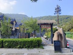 -树山生态村