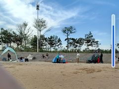 -日照海滨国家森林公园