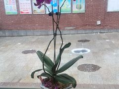 -金达莱冷面百年石锅饭(宾馆胡同店)