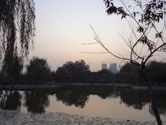 -木塔寺遗址生态公园