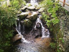 -藏龙百瀑风景区