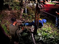 -龙云山风景区-鹿皮关长城