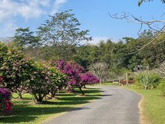 -中国科学院西双版纳热带植物园