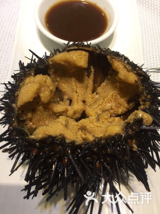 竹蛏王活海胆刺身芹香海肠海鲜疙瘩汤鲜鲅鱼水饺油淋鸟贝