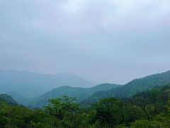 -北仑森林植物园