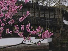 -拙政园