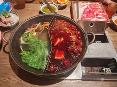 -袁山山重庆火锅(丈八北路店)
