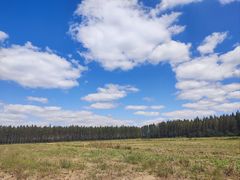 -黄海国家森林公园