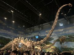 -自贡恐龙博物馆