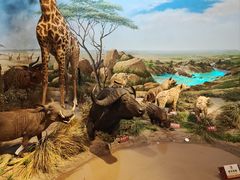 -陕西自然博物馆