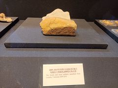 -北京周口店北京人遗址博物馆