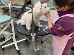 -暖阳宠物医院·犬猫康复中心·骨科