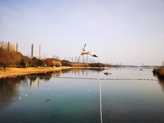 -渤公岛生态公园