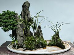 -成都杜甫草堂博物馆