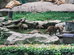 -上海野生动物园