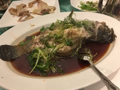 -潮江春(铜锣湾广场店)