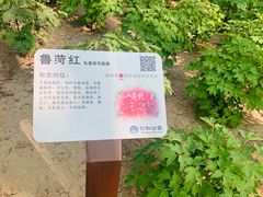 -仁和公园(顺义区)