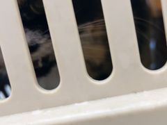 -萌兽医馆·绝育·24小时内科·宠物医院(德胜店)