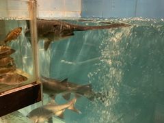 水产区-漓江又一軒·广西菜·桂林米粉(梅林店)