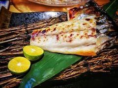 酱烤青花鱼-隐鮨日料(北辰三角洲店)