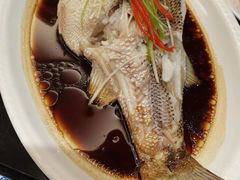 -好妈王饺子(滂江街店)