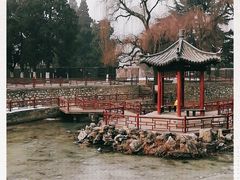 -保定市动物园