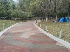 -莫子山公园
