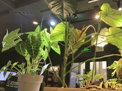 -懒人盐府人家(航天桥店)