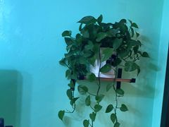 -小确幸吉他(北大街校区)