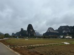 -明仕田园