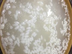 -华兴街煎蛋面(总店)